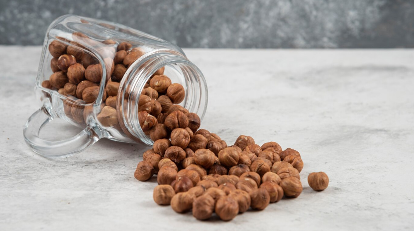 How Much Protein should a Dog Food Have?