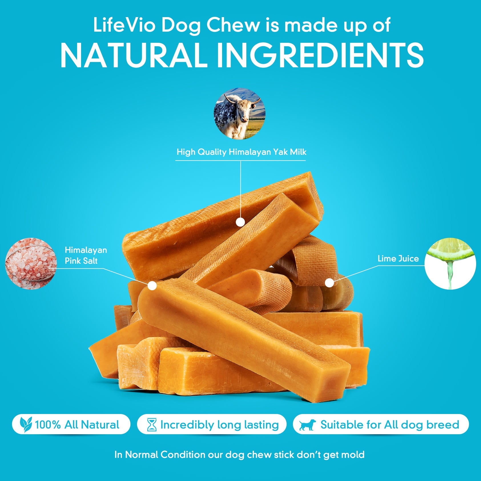 The Nutritional Value of Yak Chews for Dogs