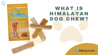 What is Himalayan Dog Chew?