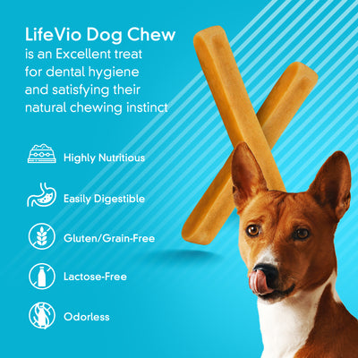 The Benefits of Yak Chews for Dog Dental Health
