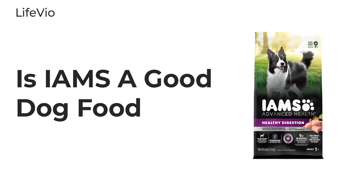 Iams dog food good or bad best sale