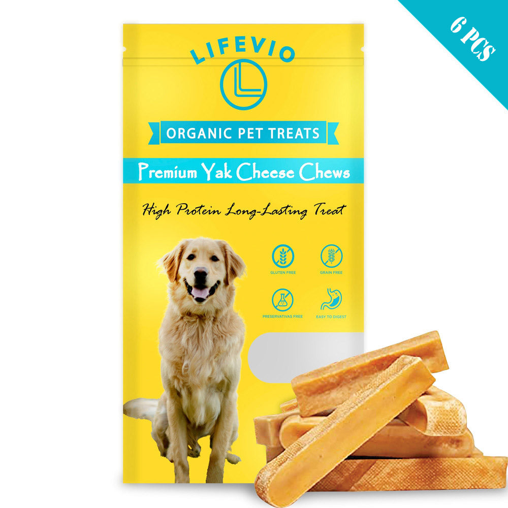 Dog Chews & Treats