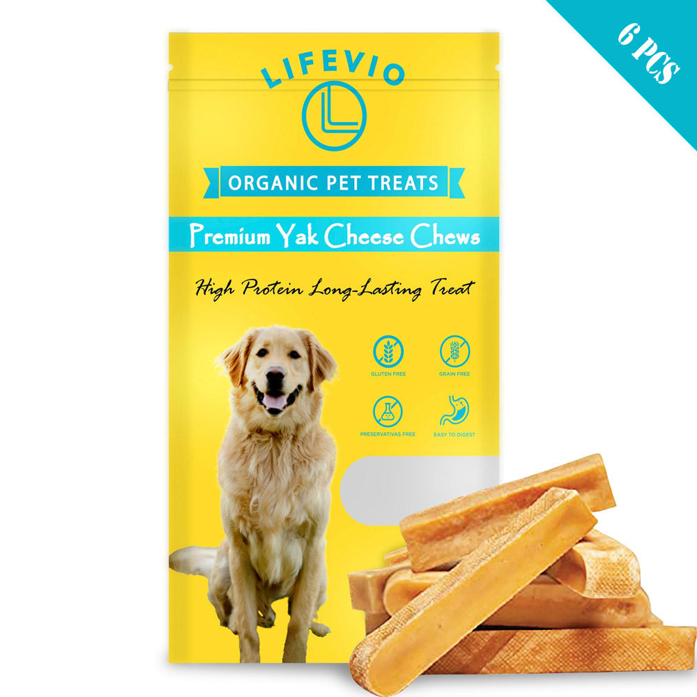 Dog Chews & Treats