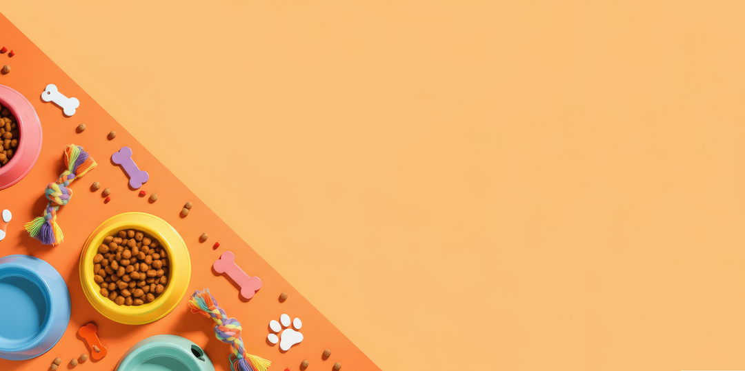 Dog Supplies
