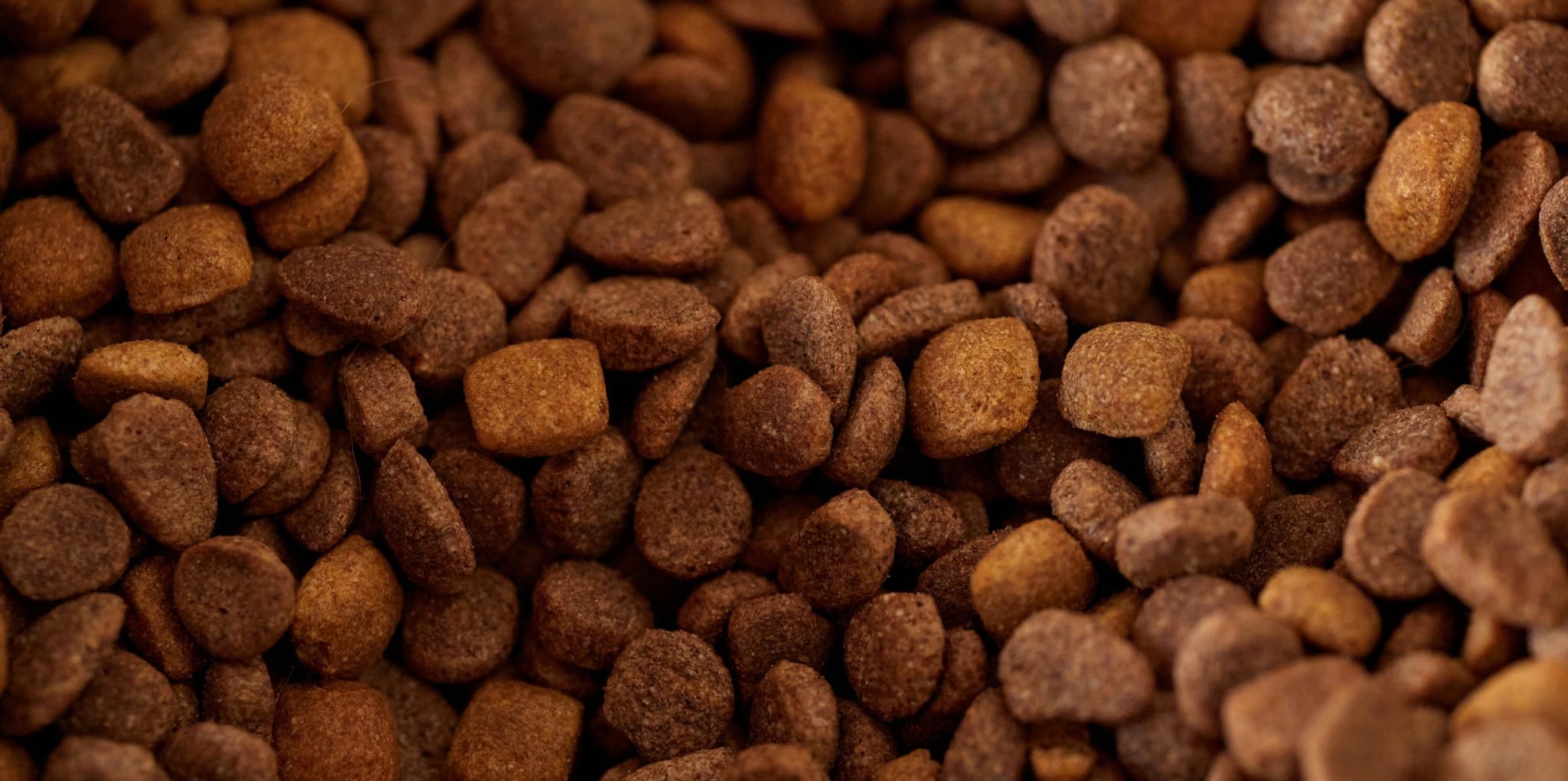Natural Dog Food