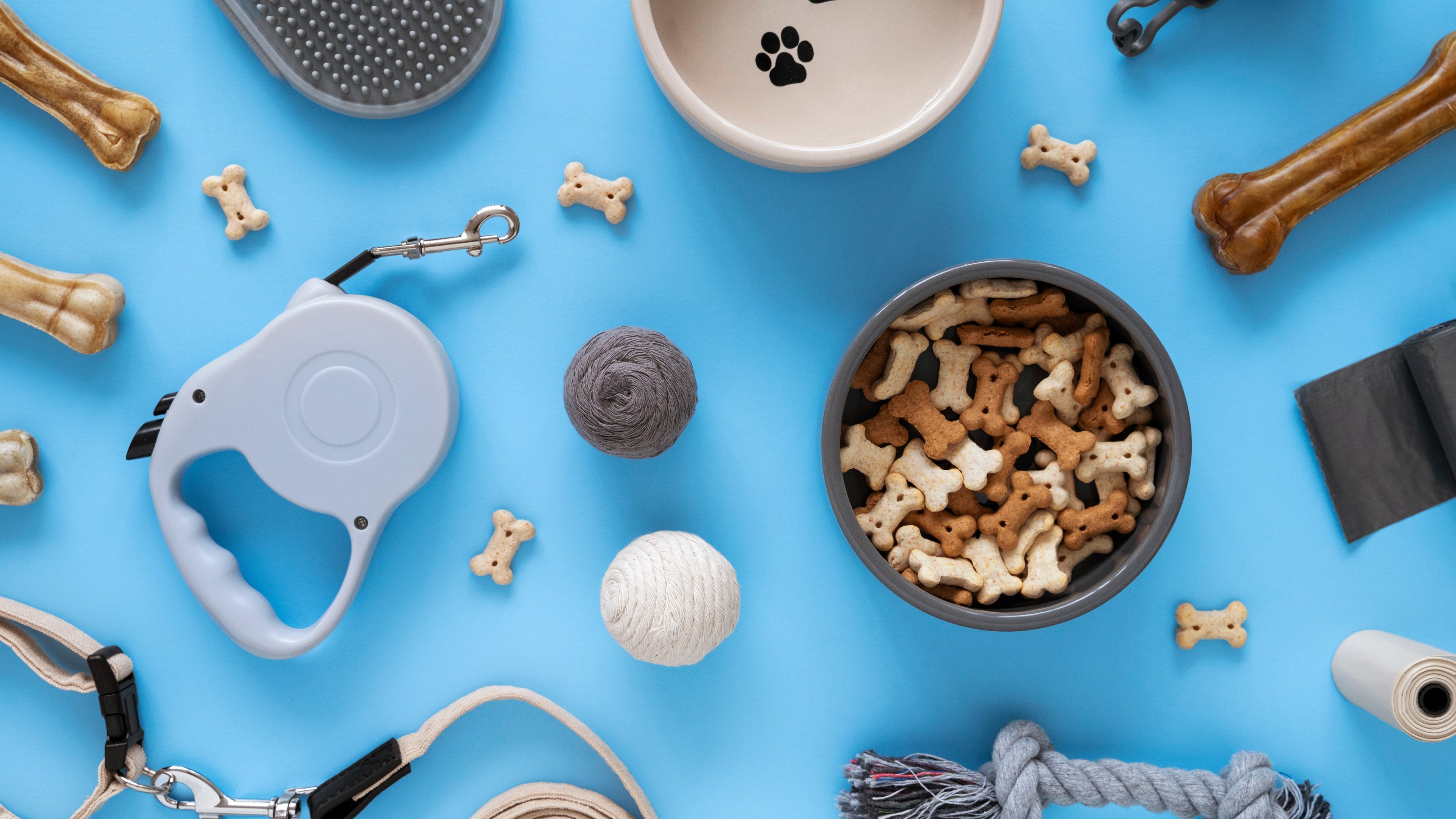 Pet Supplies