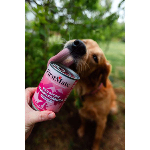 Limited Ingredient Canned Wet Dog Food Case Of 12