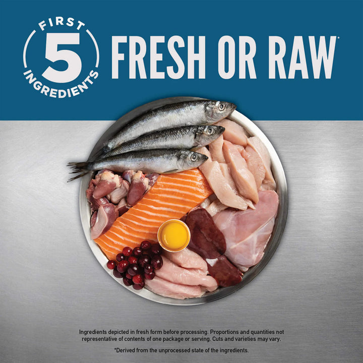 Grain Free Guardian  Grain Free Cat Food