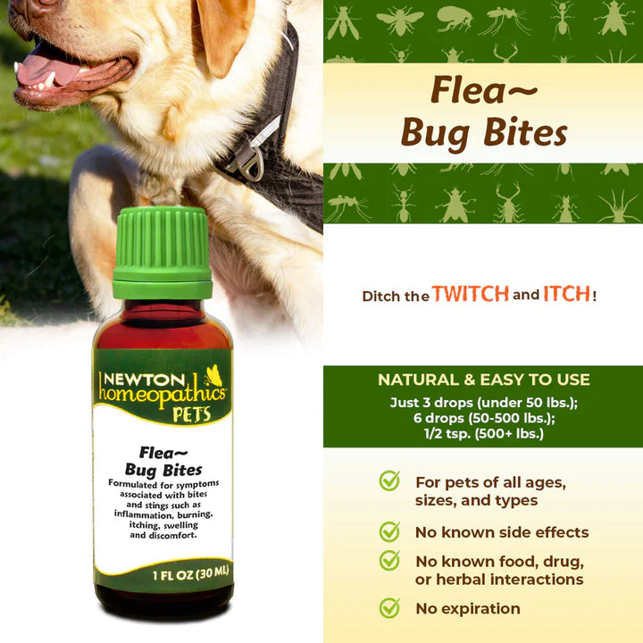 Flea & Bug Bites
