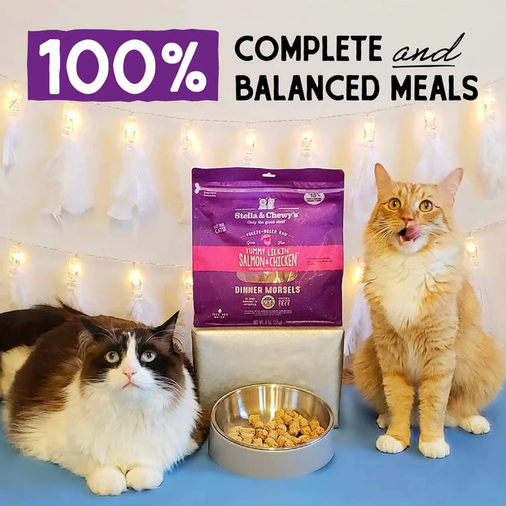 Grain-Free Freeze Dried  Salmon & Chicken