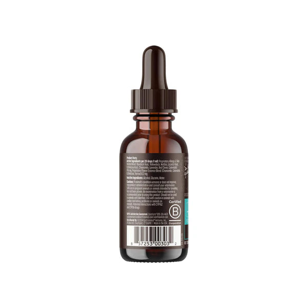 Organic Herbal Remedies Allergy & Skin Tincture