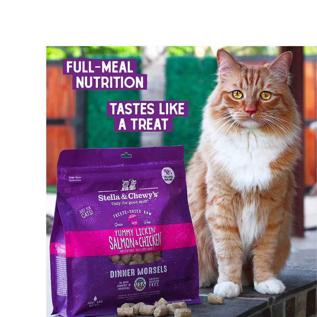 Grain-Free Freeze Dried  Salmon & Chicken