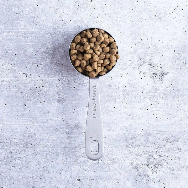 Grain-Free Natural Primitive Feline