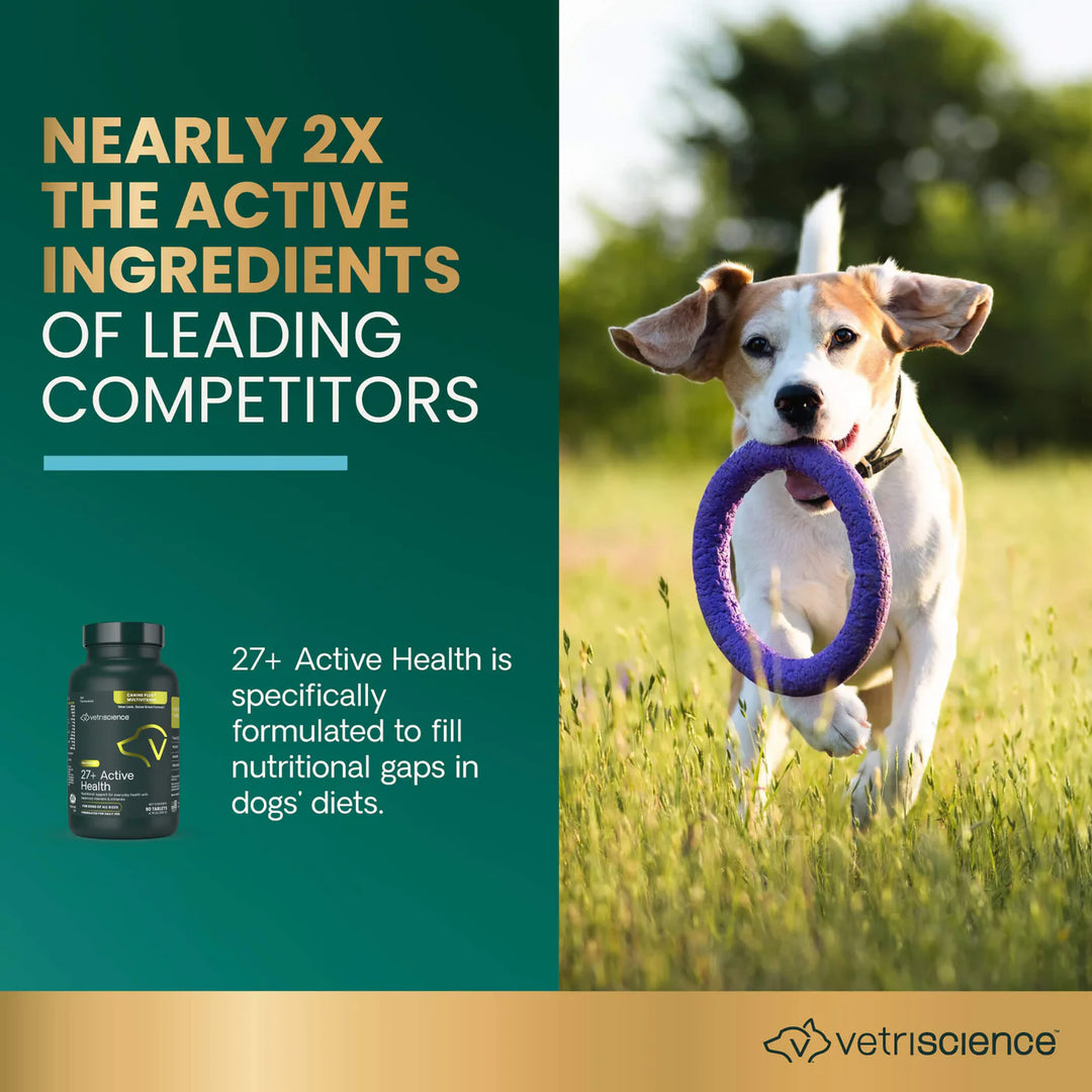 Health Multivitamin for Dogs - Tablets