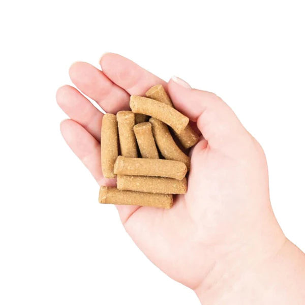 EarthBites Chewy Grain-Free Salmon