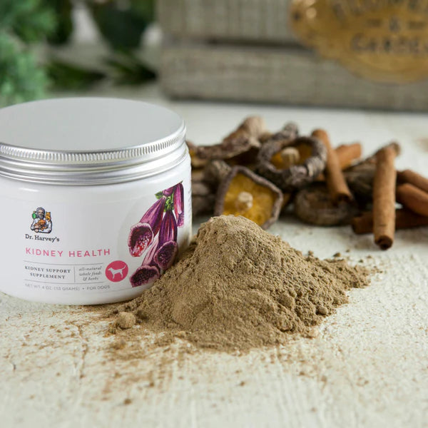 Kidney Health Supplement for Dogs