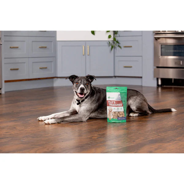 Freeze-Dried Raw Tilly's Treasures (Beef Liver)