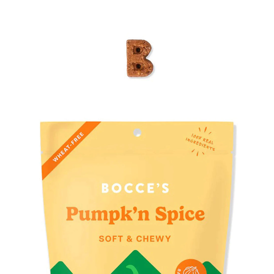 Pumpk'n Spice  Bakery Soft & Chewy