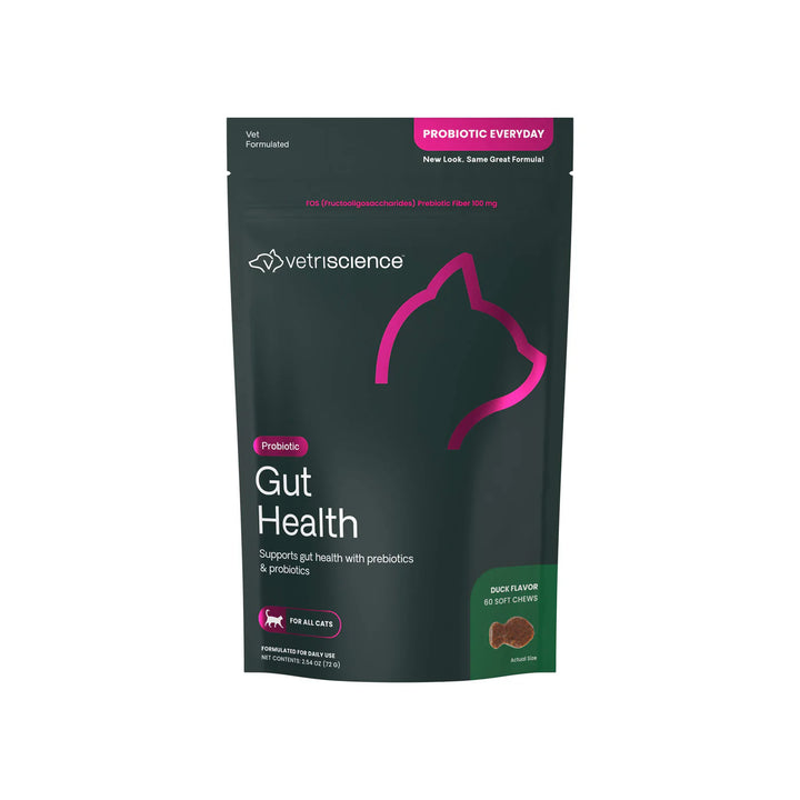 Probiotic Gut Health Supplement for Cats