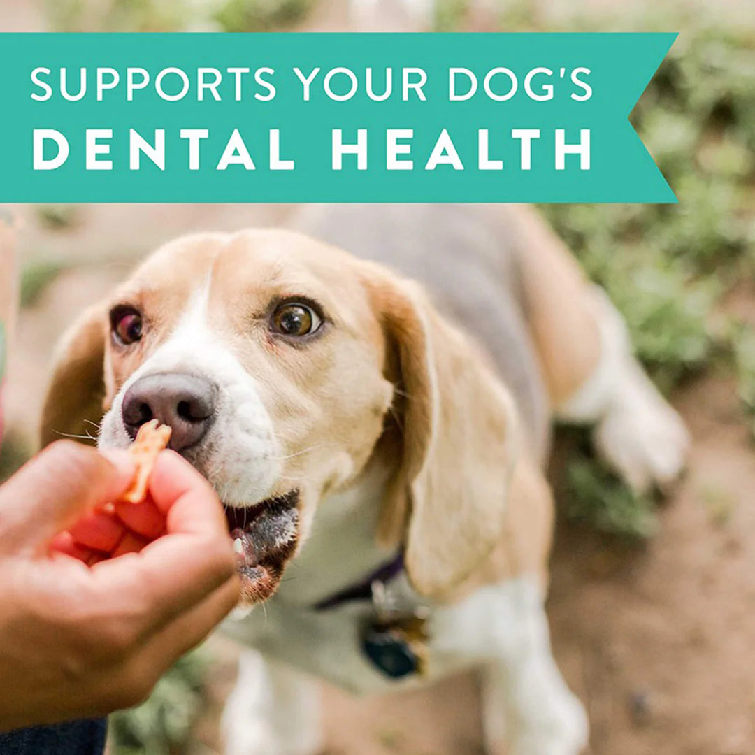 Dental Jerky Dog Chicken Recipe