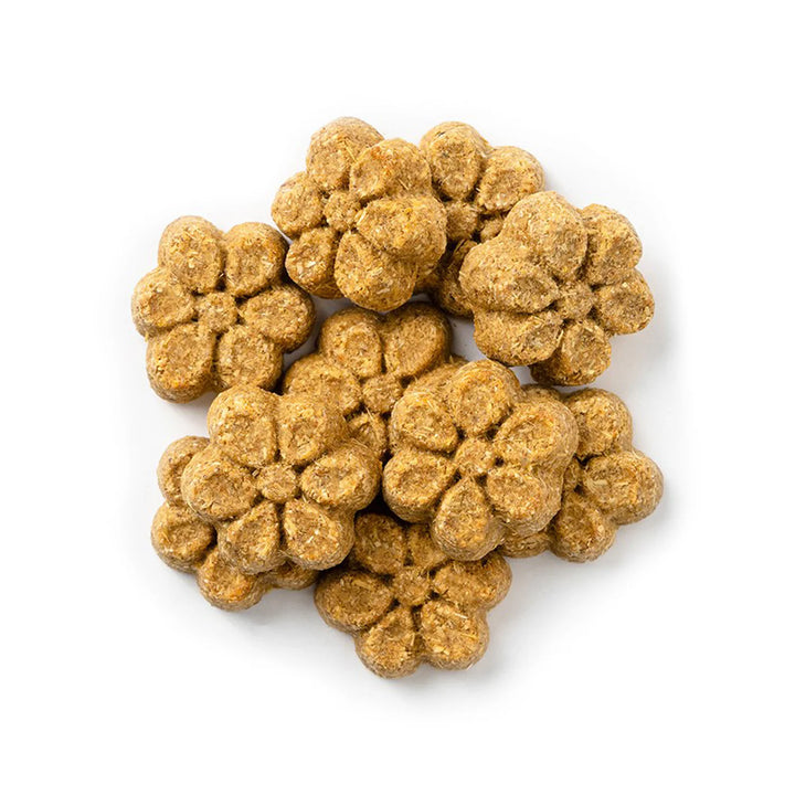 Pumpkin & Blueberry  Dog Treats