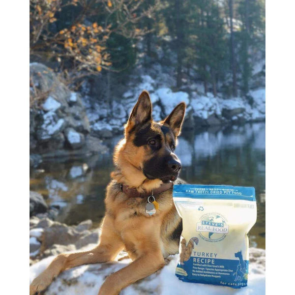 Freeze Dried Nuggets Turkey