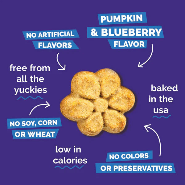 Pumpkin & Blueberry  Dog Treats