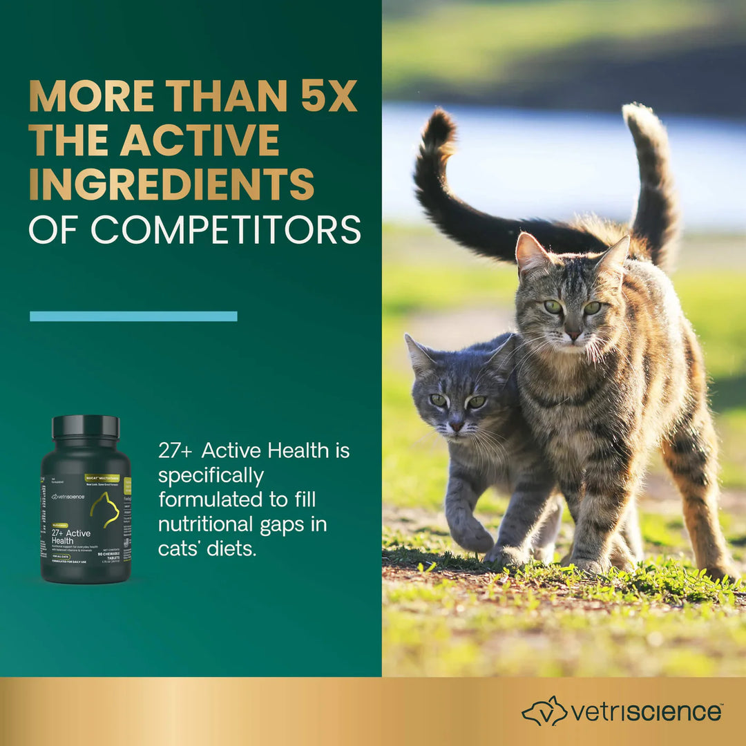 27+ Active Health Multivitamin for Cats