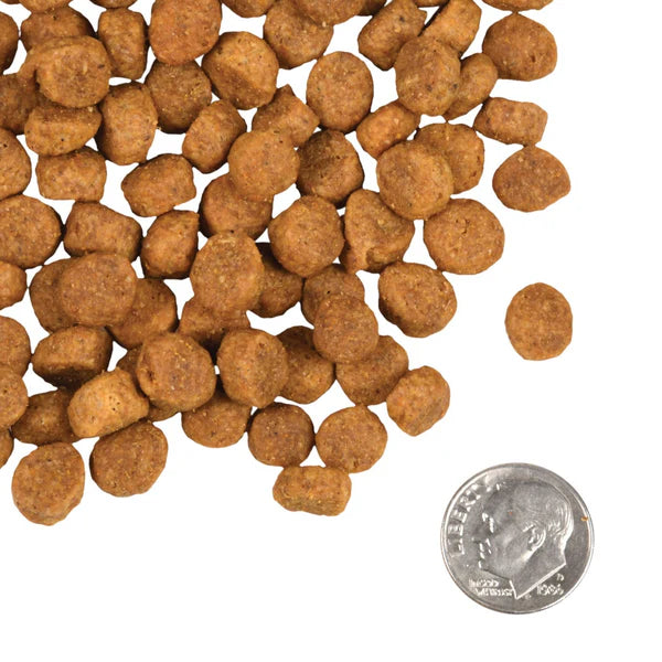 Heartland Gold Large Breed Puppy