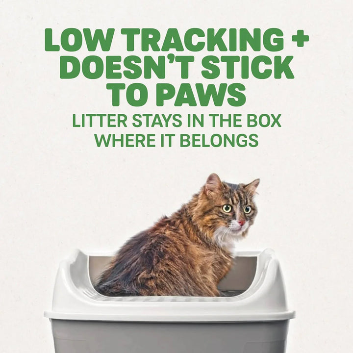 Non-Clumping Pellet Cat Litter