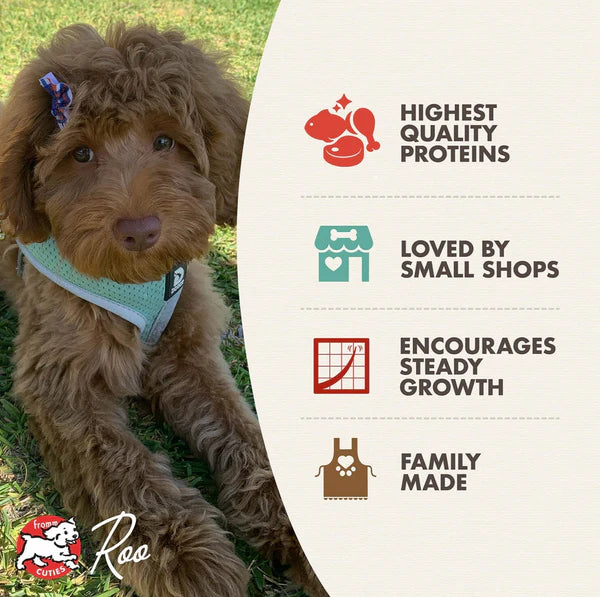 Heartland Gold Large Breed Puppy