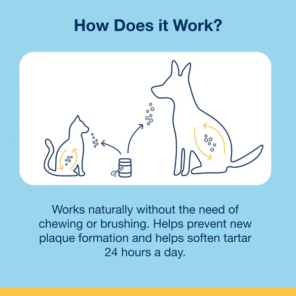 Dental Powder for Cats
