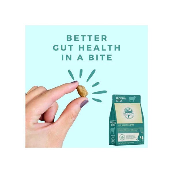 Probiotic Protein Bites - Lamb