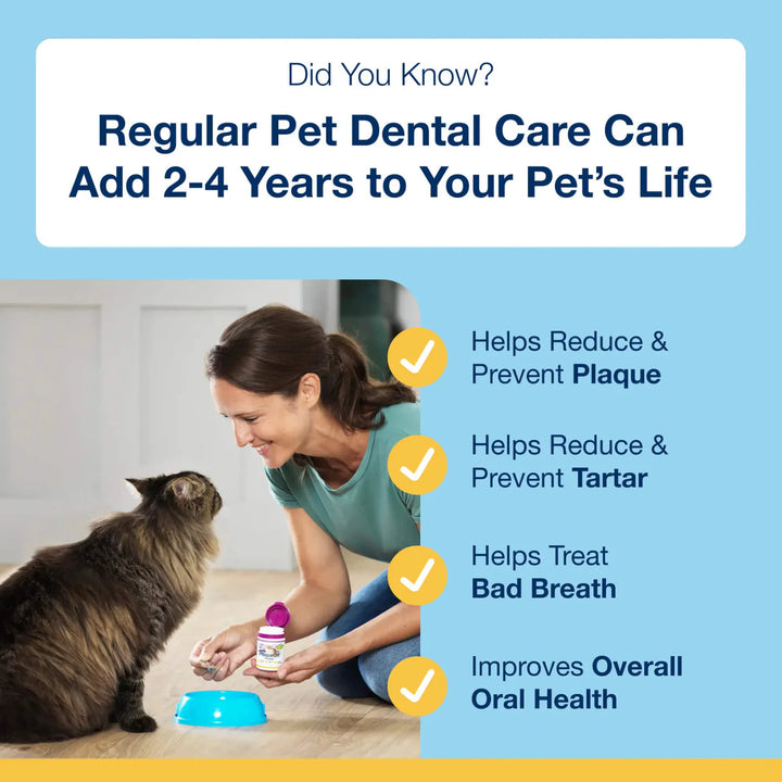 Dental Powder for Cats