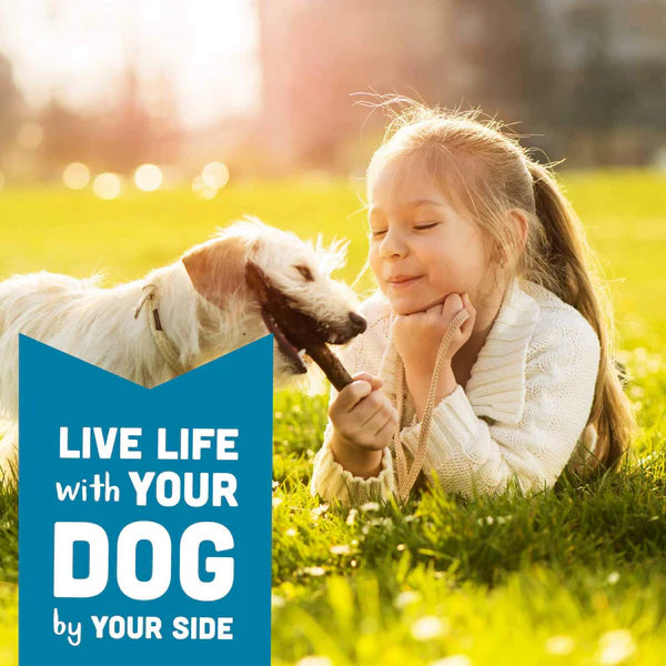 Wag More Bark Less Soft Chews