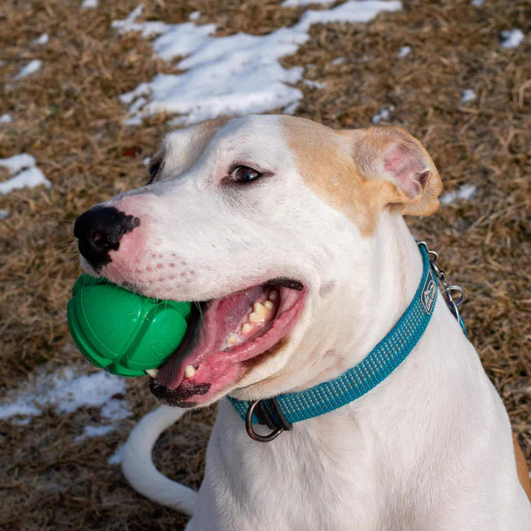FloTek Rubber Ball Dog Toy