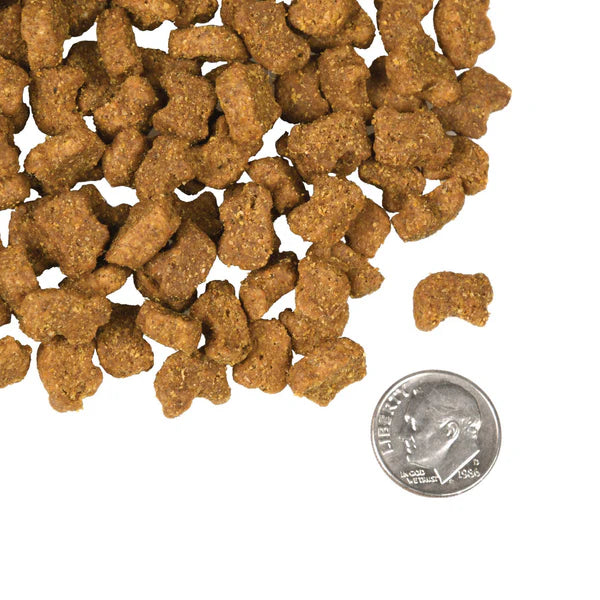 Four Star Lamb & Lentil Grain Free Recipe