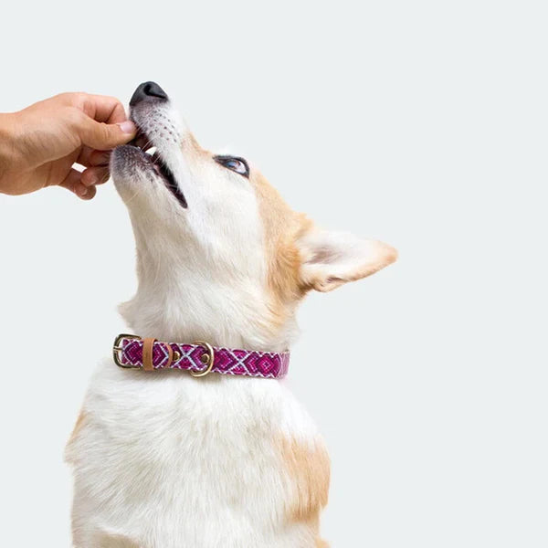 Pill-a-Pet Bacon Flavored Pill Wrap Putty