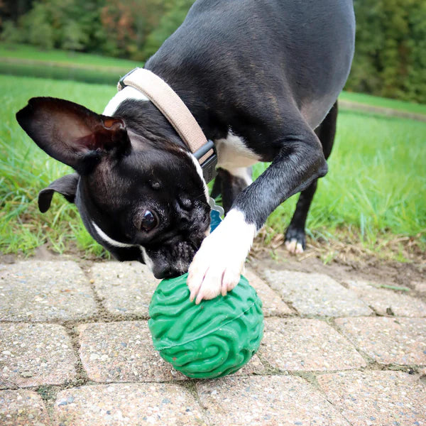 Luna Puppy Ball Rubber Dog Toy