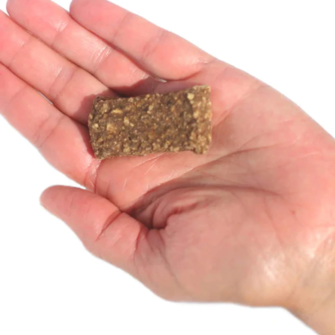 Jerky Dog Treats - Salmon