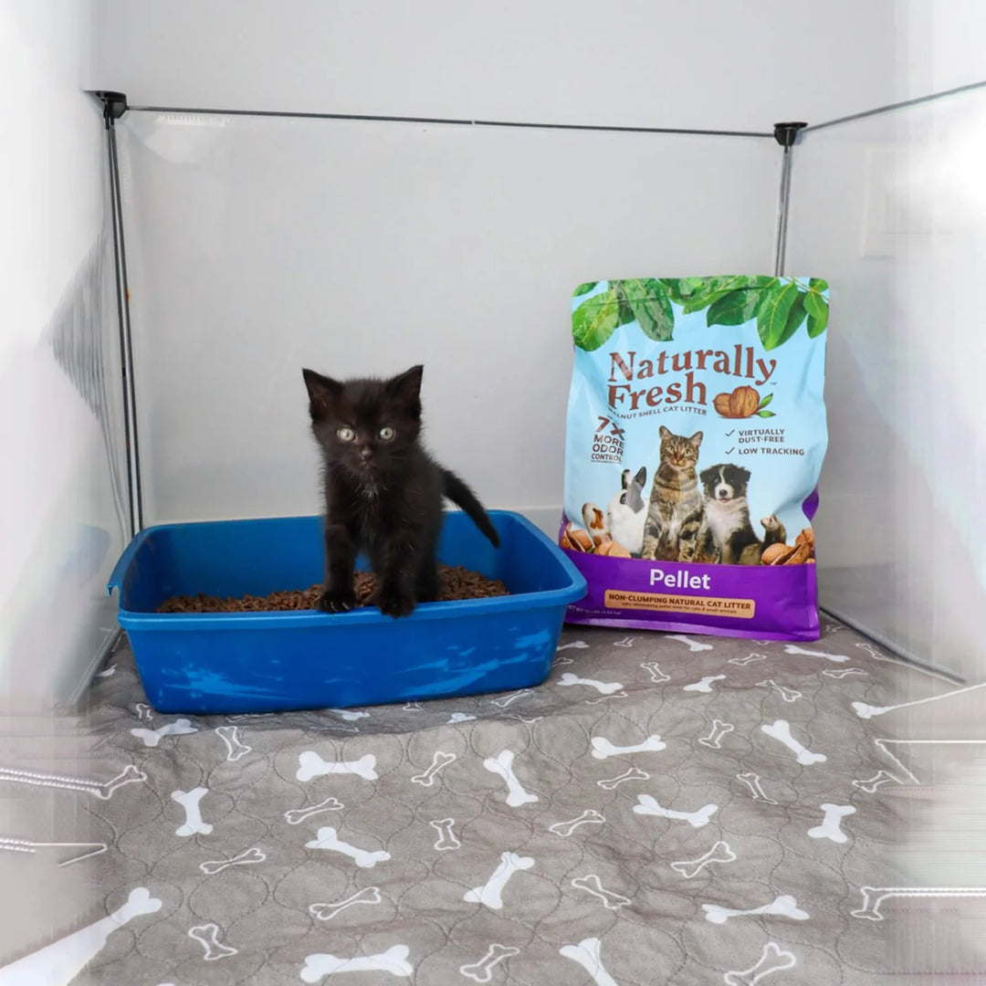 Non-Clumping Pellet Cat Litter