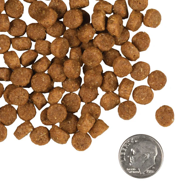 Puppy Gold Dry Dog Food