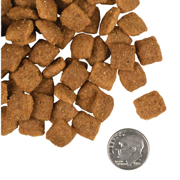 Adult Gold Dry Dog Food