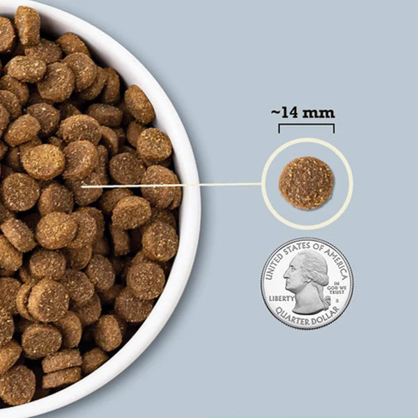 Grains Dry Food for Dogs - Sea to Stream