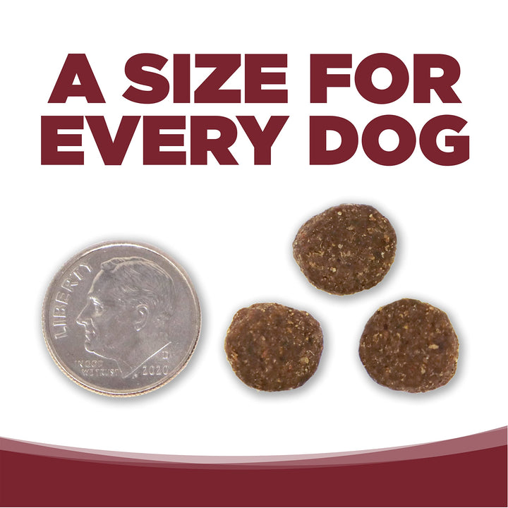 NutriSource Dog Food, Made with Beef and Brown Rice, Wholesome Grains, 5LB, Dry Dog Food