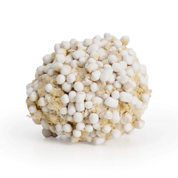 Go Natural Vanilla Scented Bamboo Clumping