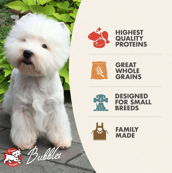 Small Breed Adult Gold Dry Dog Food