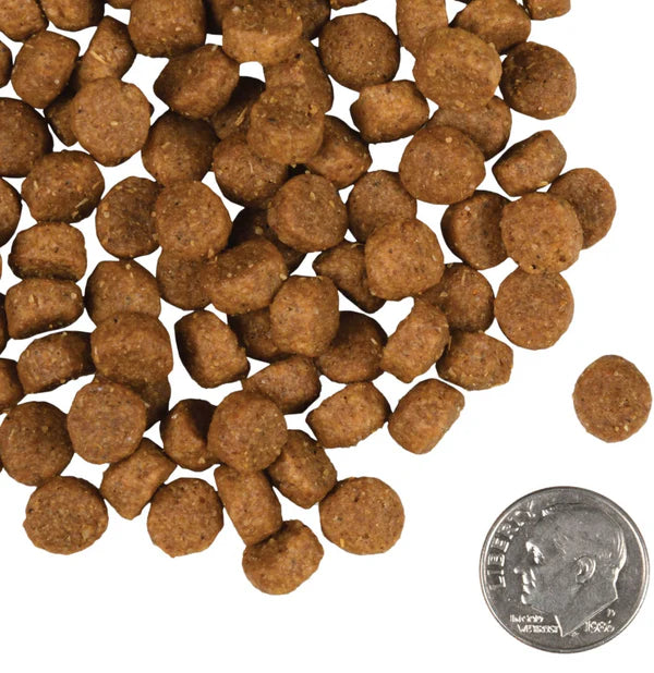 Small Breed Adult Gold Dry Dog Food