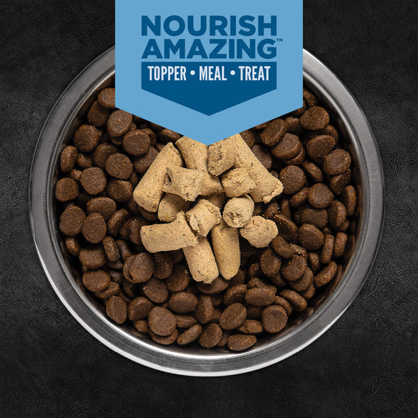 Epic Freeze Dried Dog Food - Regional Red