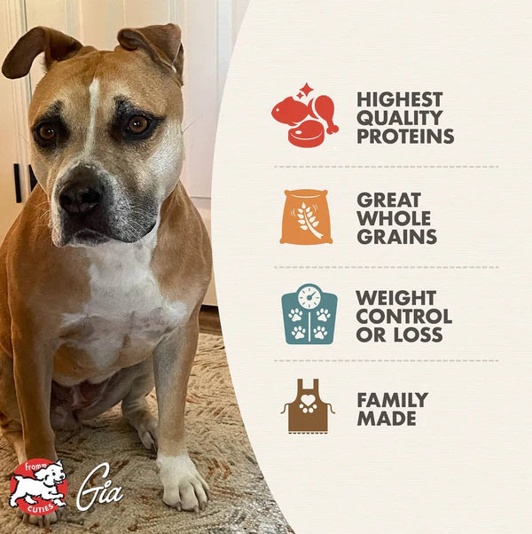 Weight Management Gold Dry Dog Food